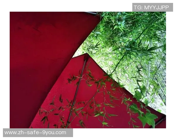 广州足球场拍照技巧与最佳角度分享让你的照片更具魅力 广州足球场拍照技巧与最佳角度分享让你的照片更具魅力